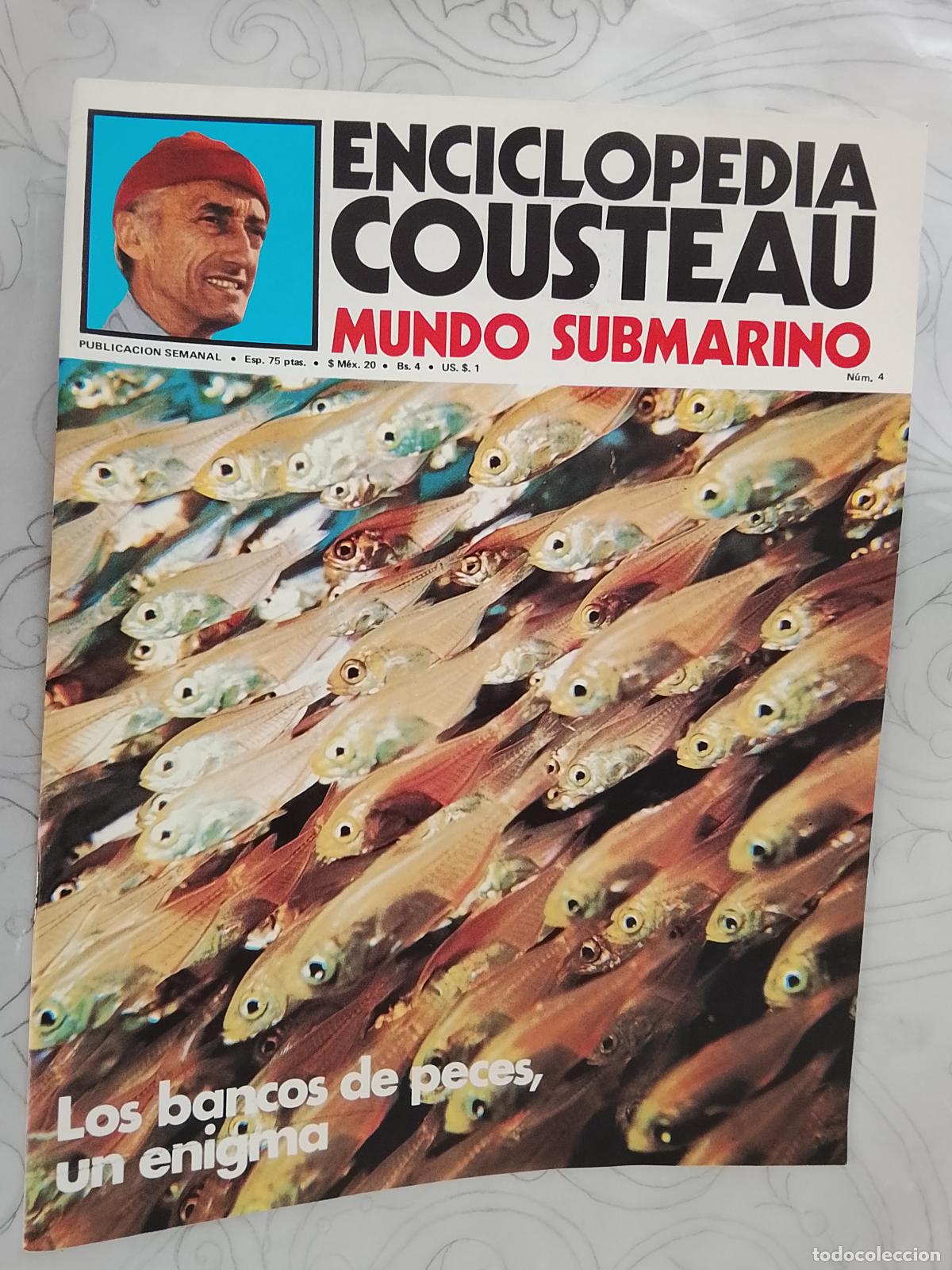 Collectionnisme de Revues et Journaux: FASCICULO - ENCICLOPEDIA COUSTEAU MUNDO SUBMARINO - URBION