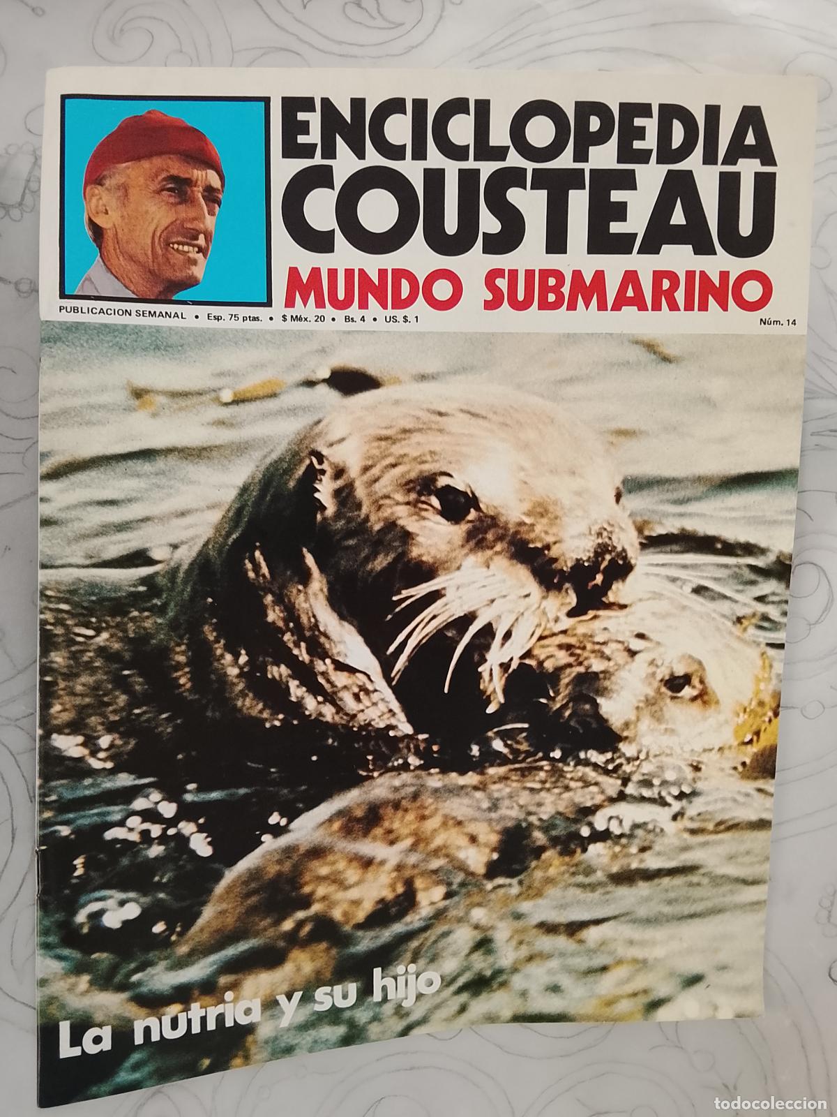 Collezionismo di Riviste e Giornali: FASCICULO - ENCICLOPEDIA COUSTEAU MUNDO SUBMARINO - URBION