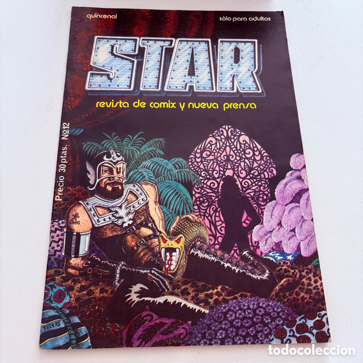Collection Magazines and Newspapers: REVISTA UNDERGROUND COMIC COMIX STAR N&ordm; 12