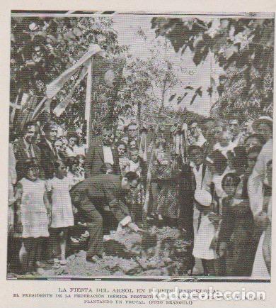 Coleccionismo de revistas y peri&oacute;dicos: * PARETS, Barcelona * Fiesta del &Aacute;rbol, presidente de la Federaci&oacute;n Ib&eacute;rica Sr. Mill&aacute;n - 1933