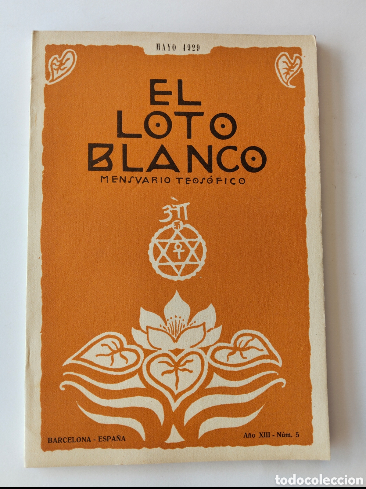 Coleccionismo de revistas y peri&oacute;dicos: ANTIGUO MENSUARIO TEOSOFICO - REVISTA EL LOTO BLANCO 1929 - La revista era el &oacute;rgano de relaci&oacute;n en