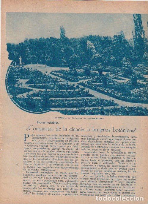 Coleccionismo de revistas y peri&oacute;dicos: * HIBRIDACI&Oacute;N * BLARINGHEM * &iquest;Conquistas de la brujer&iacute;as bot&aacute;nicas? - 1933