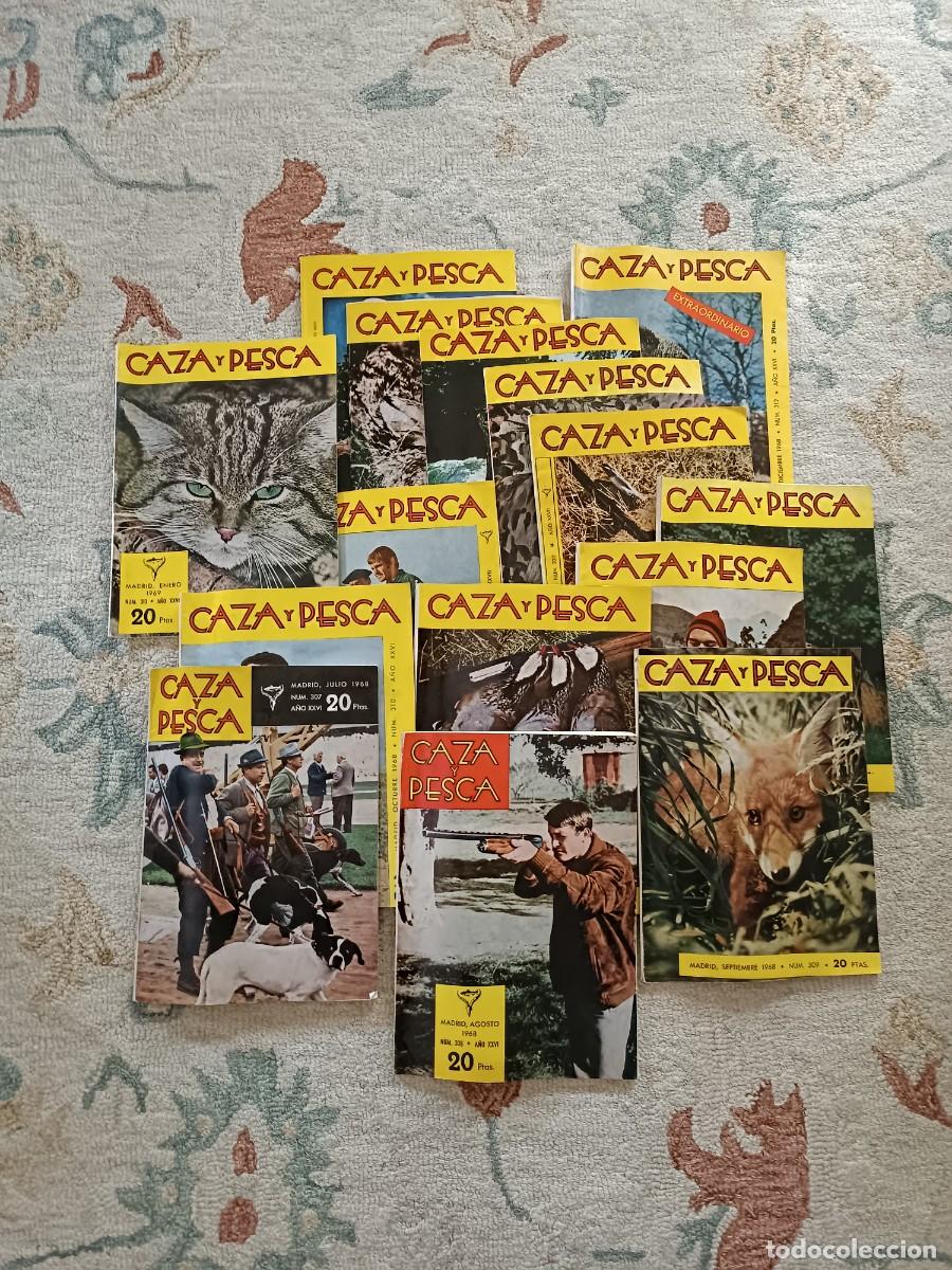 Coleccionismo de revistas y peri&oacute;dicos: Lote revistas caza y pesca a&ntilde;o 1969