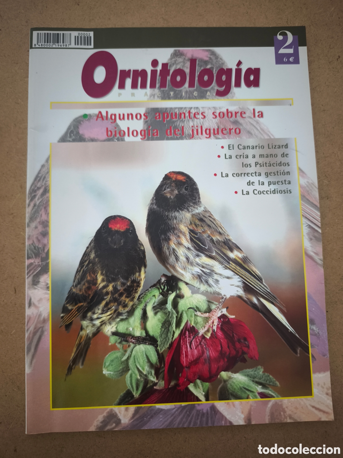 Coleccionismo de revistas y peri&oacute;dicos: Revista Ornitolog&iacute;a Pr&aacute;ctica N&ordm; 2 - Biolog&iacute;a del Jilguero, Canario Lizard - Ed. Campomas