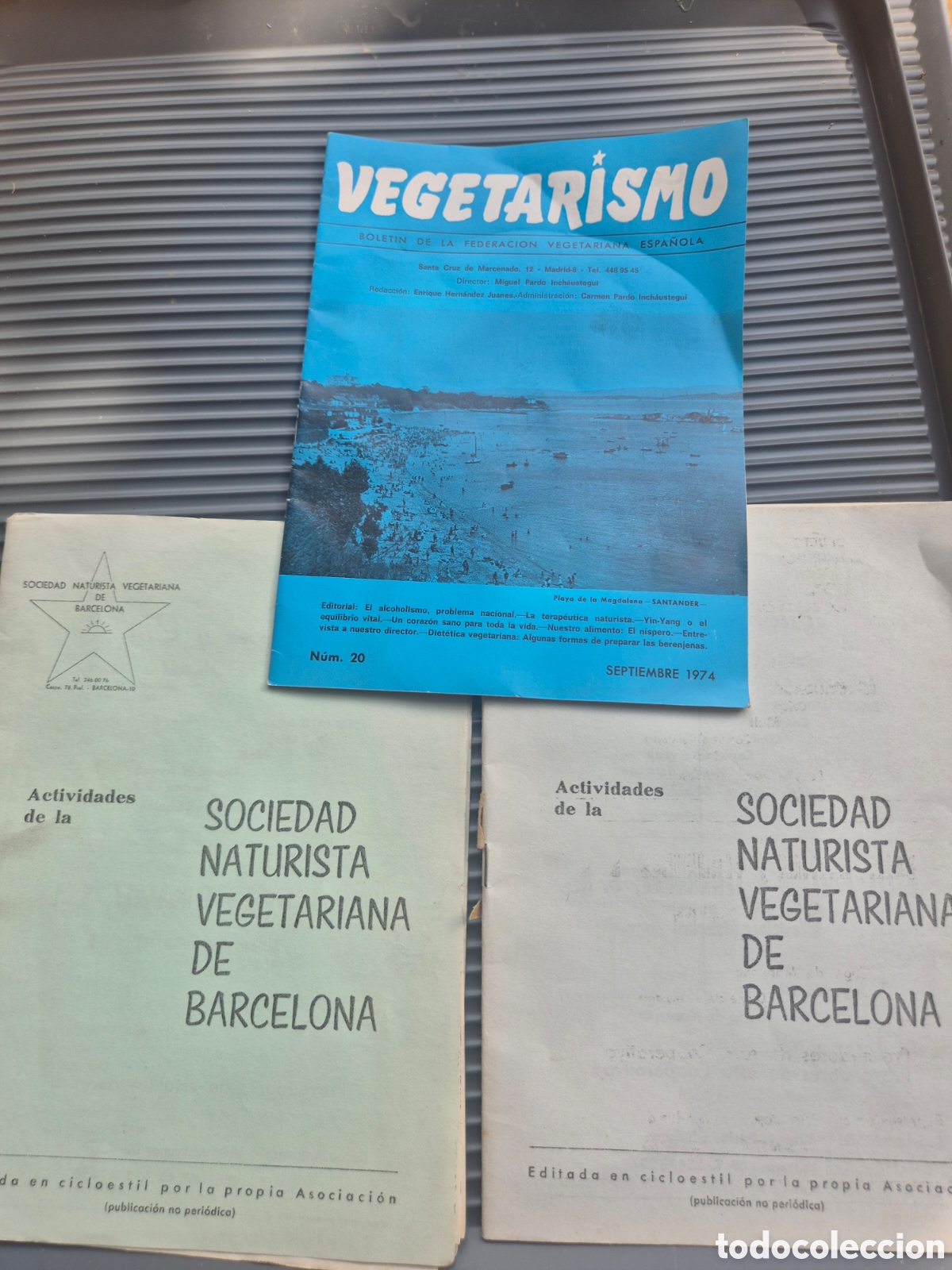 Coleccionismo de revistas y peri&oacute;dicos: SOCIEDAD NATURISTA VEGETARIANA DE BARCELONA 1973