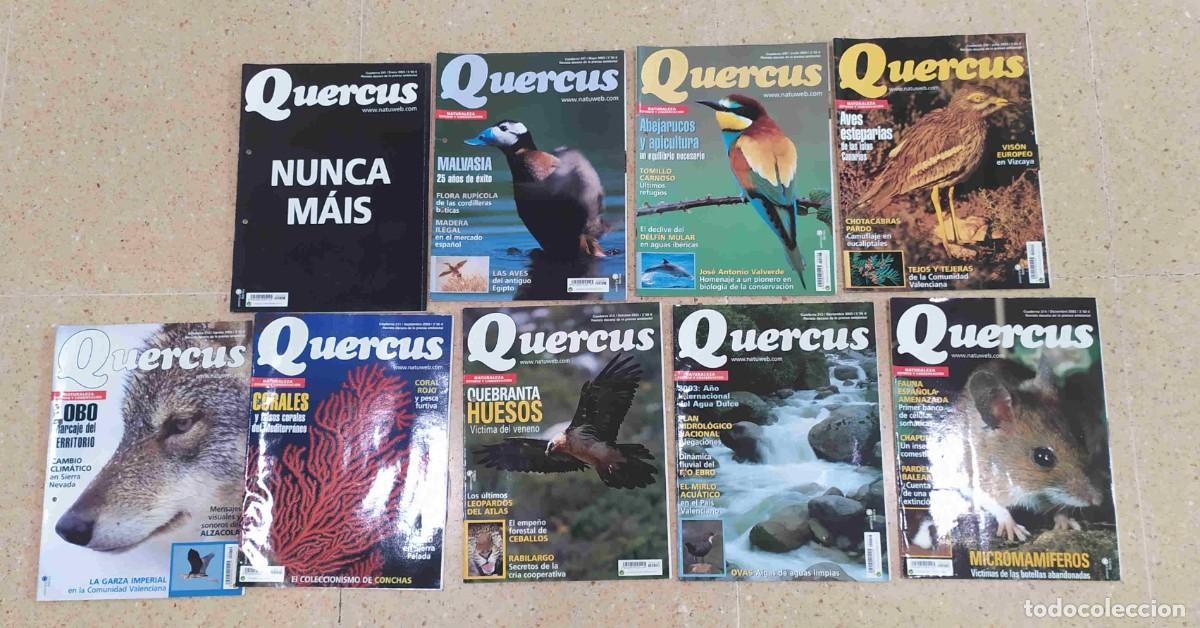 Coleccionismo de revistas y peri&oacute;dicos: 9 revistas Quercus del a&ntilde;o 2003