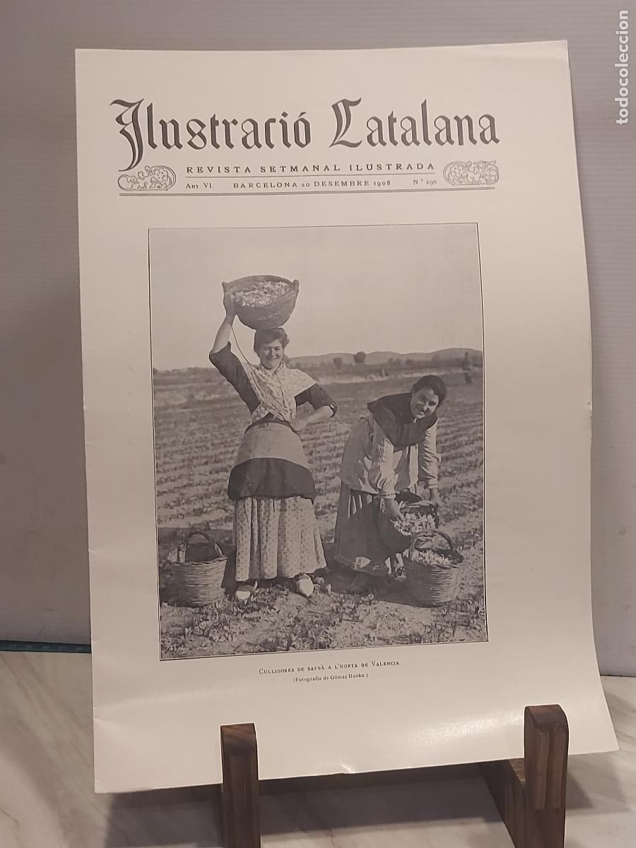 Coleccionismo de revistas y peri&oacute;dicos: ILUSTRACI&Oacute; CATALANA | N.&ordm; 290 | 20 DESEMBRE 1908 | VAL&Egrave;NCIA | COLLIDORES DE SAFR&Agrave; | FREDERIC MISTRAL