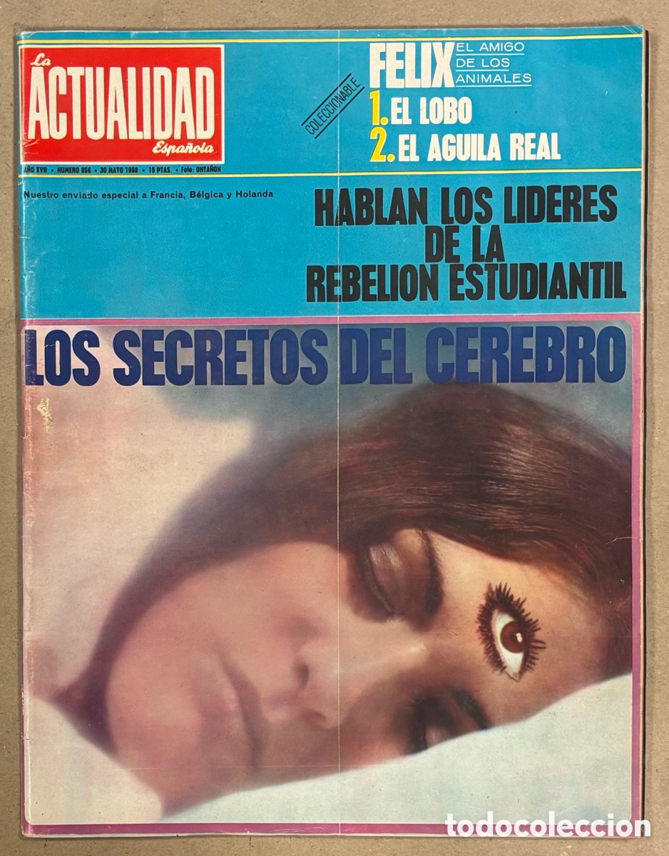 Coleccionismo de revistas y peri&oacute;dicos: LA ACTUALIDAD ESPA&Ntilde;OLA N&deg; 856 (1068). BELMEZ, MAR&Iacute;A JOS&Eacute; L&Oacute;PEZ IBOR,&hellip; VER SUMARIO EN FOTOS