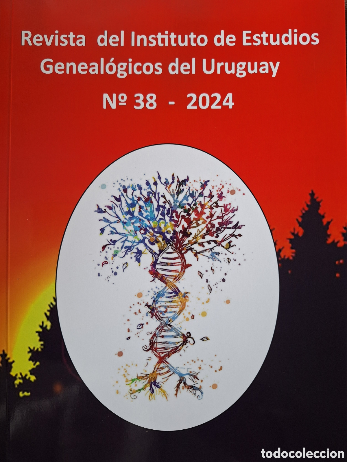 Coleccionismo de revistas y peri&oacute;dicos: REVISTA ESTUDIOS GENEALOGICOS 38 GALLEGOS CORU&Ntilde;ESES PADRON LAS VIBORAS 1778 AMORIM Y BRUN ROCHA Y +