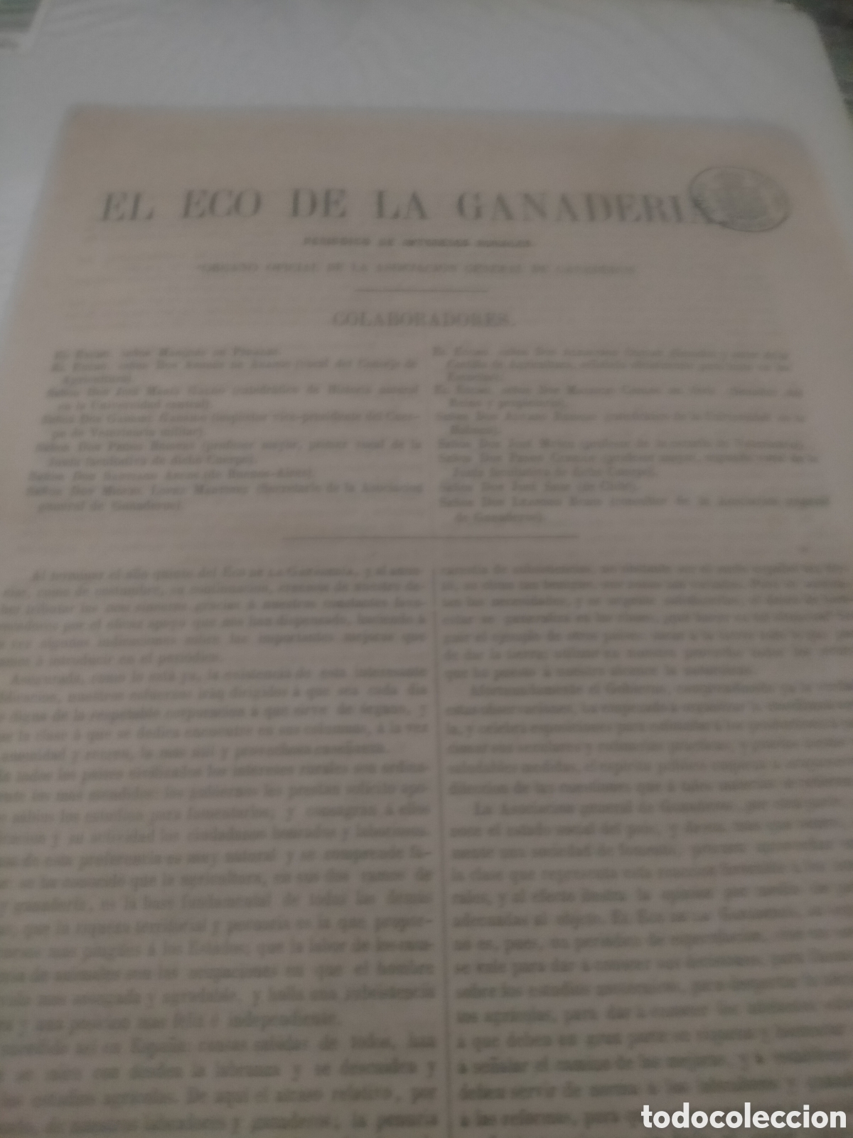 Coleccionismo de revistas y peri&oacute;dicos: Peri&oacute;dico el eco de la ganader&iacute;a