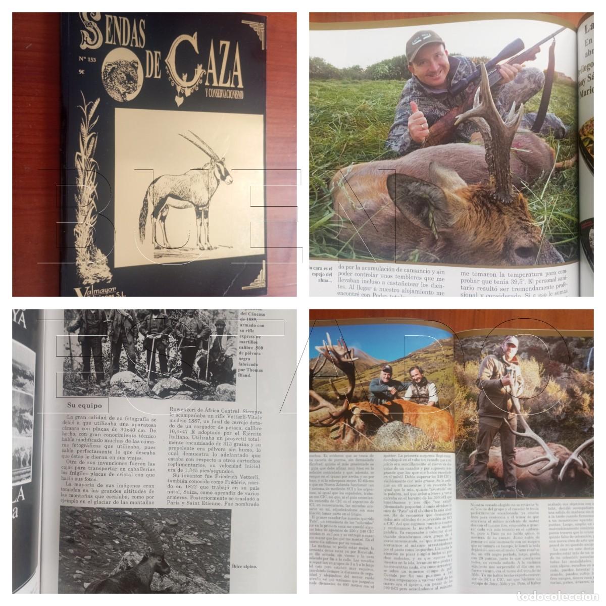 Coleccionismo de revistas y peri&oacute;dicos: SENDAS DE CAZA Y CONSERVACIONISMO 153 REVISTA CINEGETICA LG14