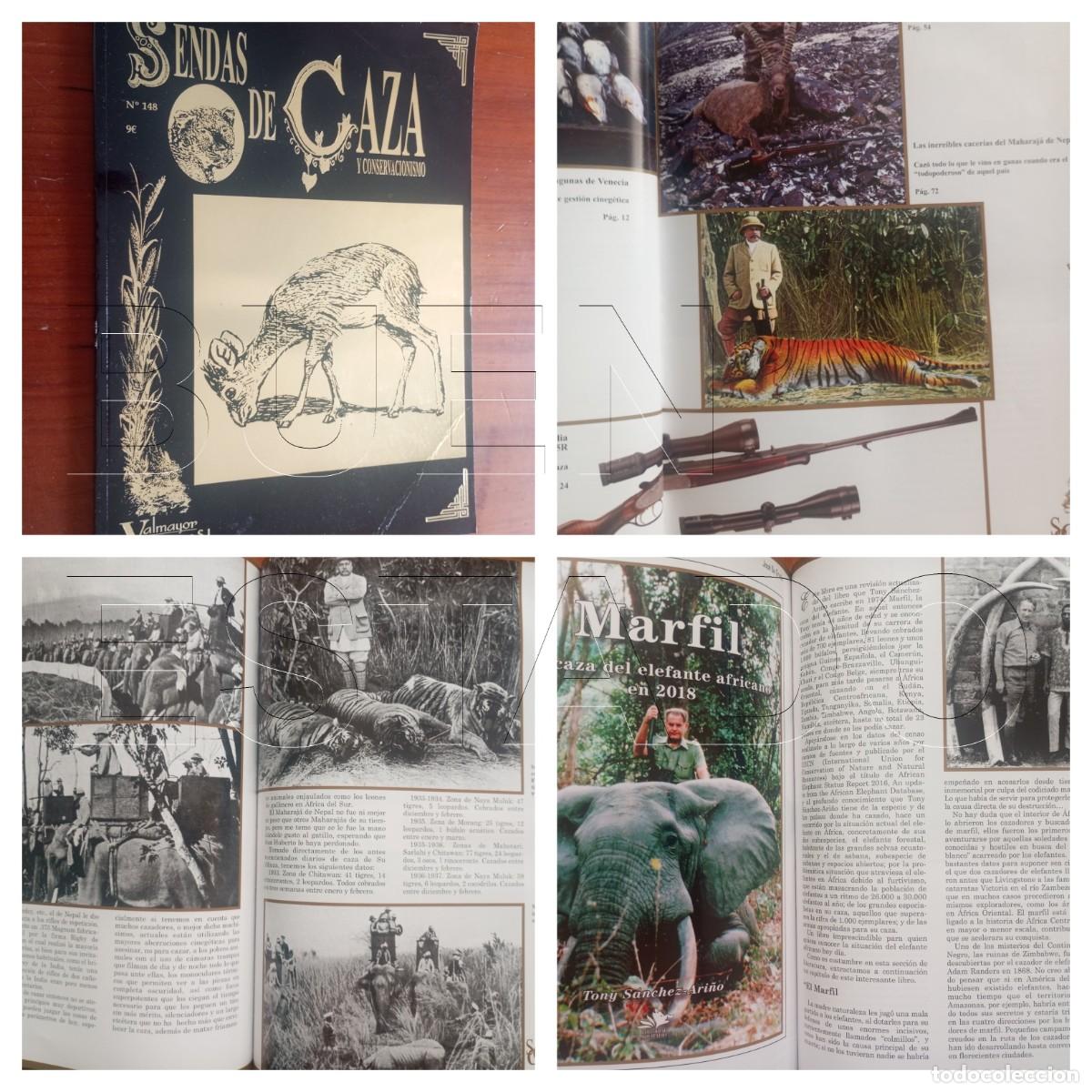 Coleccionismo de revistas y peri&oacute;dicos: SENDAS DE CAZA Y CONSERVACIONISMO 148 REVISTA CINEGETICA LG14