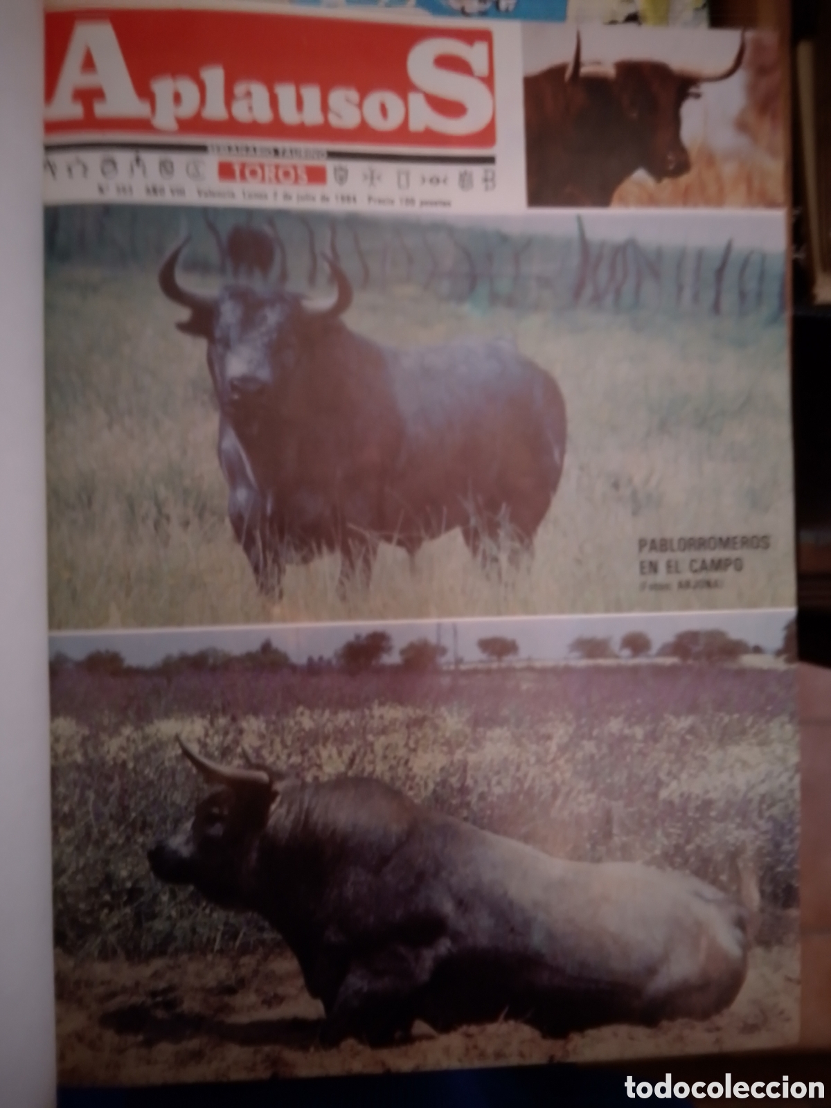 Collection Magazines and Newspapers: APLAUSOS. ANUARIO. NUM. 353 AL 379. PASCUAL BENET. 1984.