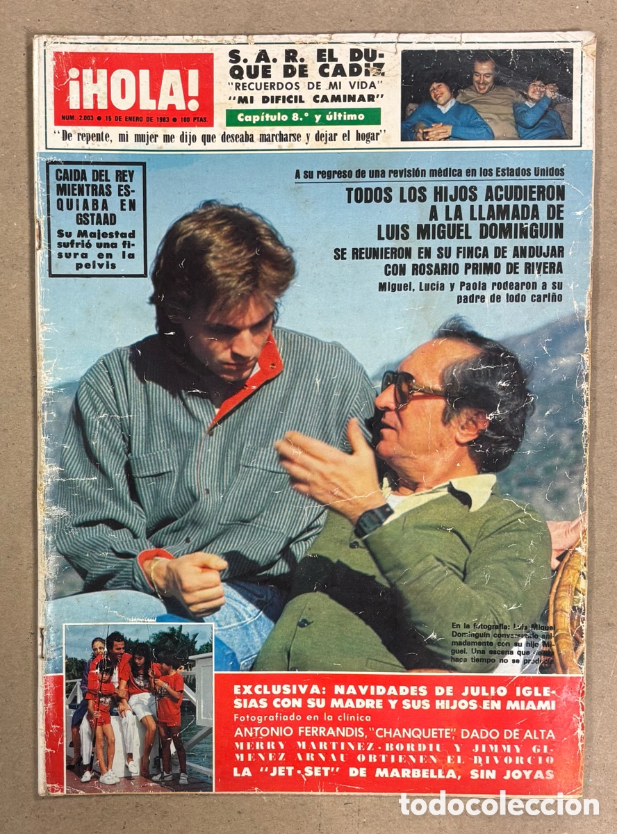 Coleccionismo de revistas y peri&oacute;dicos: HOLA N&deg; 2003 (1983). LUIS MIGUEL DOMINGUIN, MIGUEL BOS&Eacute;, JULIO IGLESIAS, ANTONIO FERRANDIS, JET SET