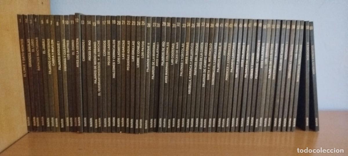 Collezionismo di Riviste e Giornali: COLECCI&Oacute;N COMPLETA CUADERNOS DE CAMPO F&Eacute;LIX RODR&Iacute;GUEZ DE LA FUENTE &ndash; 60 N&Uacute;MEROS &ndash; EDITORIAL MAR&Iacute;N &ndash;