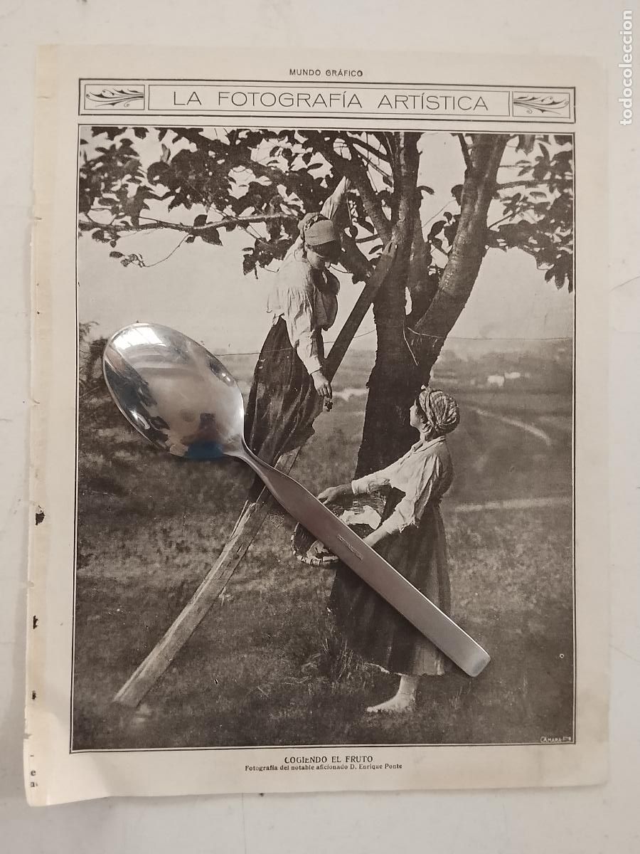 Collezionismo di Riviste e Giornali: hoja a&ntilde;o 1915/1916 - IMAGEN FOTOGRAFO ENRIQUE PONTE - ARBOL COGIENDO EL FRUTO POR SE&Ntilde;ORITAS