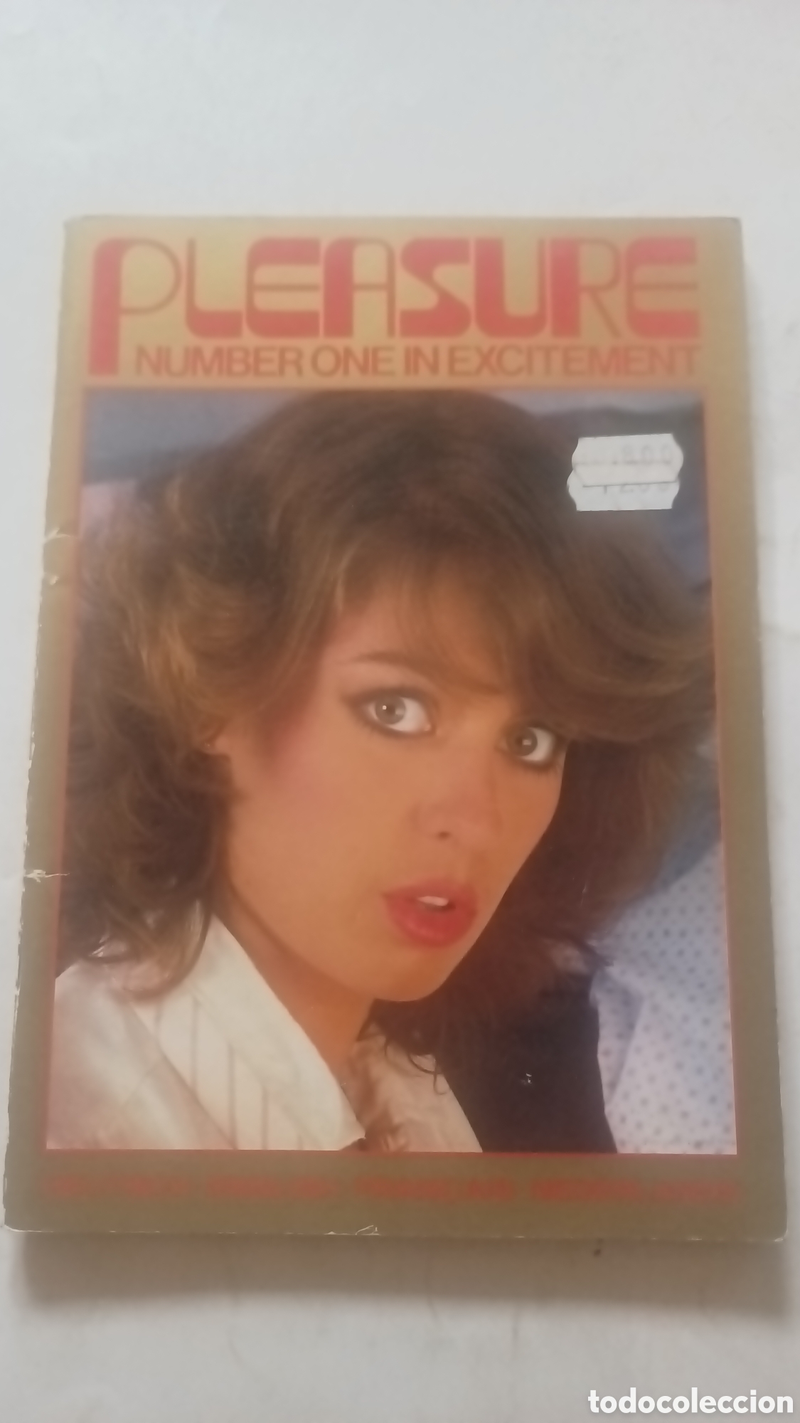 Coleccionismo de revistas y peri&oacute;dicos: Pleasure 43.. number One in excitement