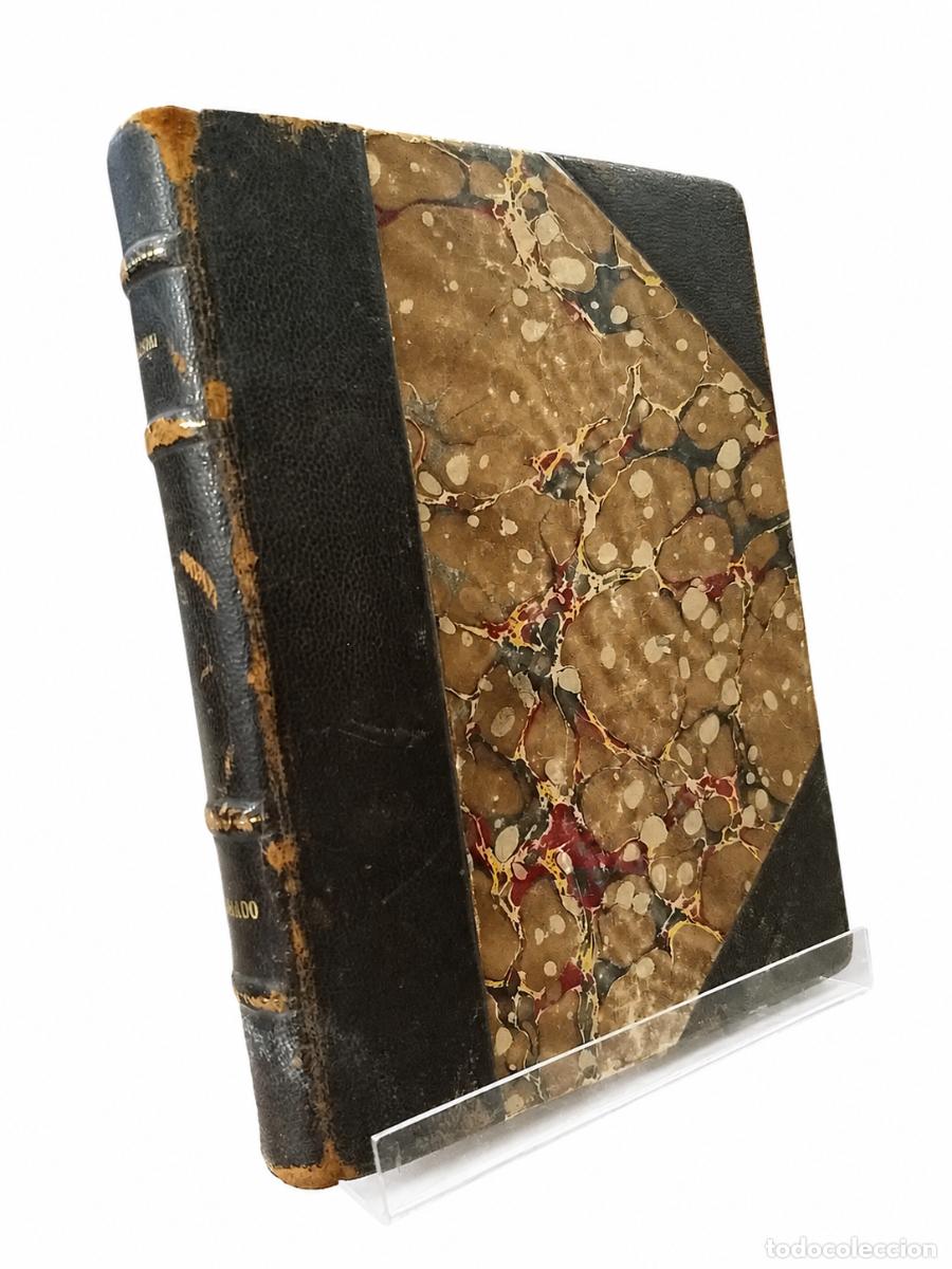Coleccionismo de revistas y peri&oacute;dicos: AM&Iacute;LCAR RAZORI &ndash; CAMPO ARADO &ndash; VIAU Y ZONA &ndash; 1935 LM