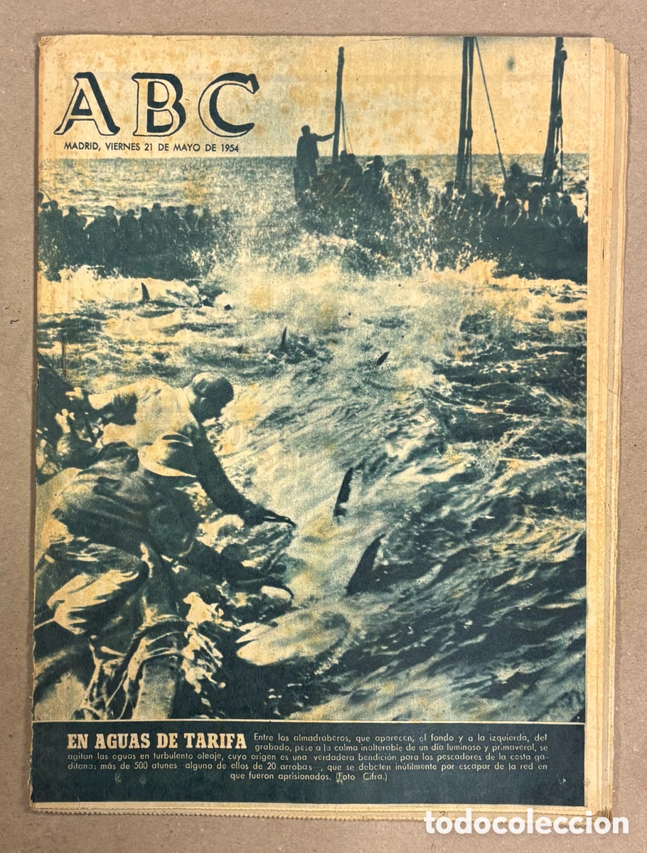 Coleccionismo de revistas y peri&oacute;dicos: ABC (21 DE MAYO DE 1954). ATUNES DE LA ALMADRABA EN AGUAS DE TARIFA,..