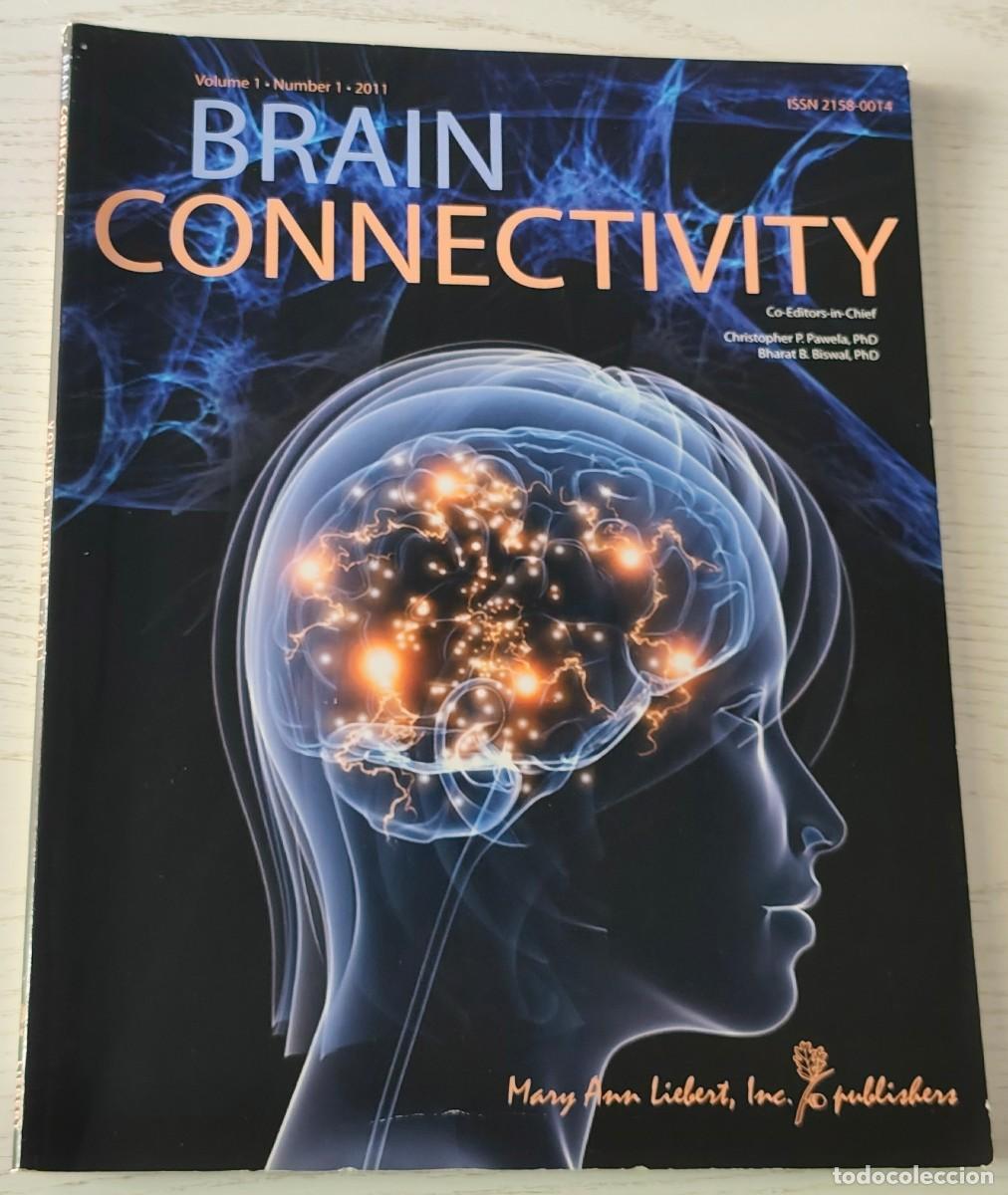 Collectionnisme de Revues et Journaux: REVISTA EN INGL&Eacute;S: BRAIN CONNECTIVITY VOLUME 1 &middot; NUMBER 1 (A&Ntilde;O 2011 &middot; 108 P&Aacute;GINAS)