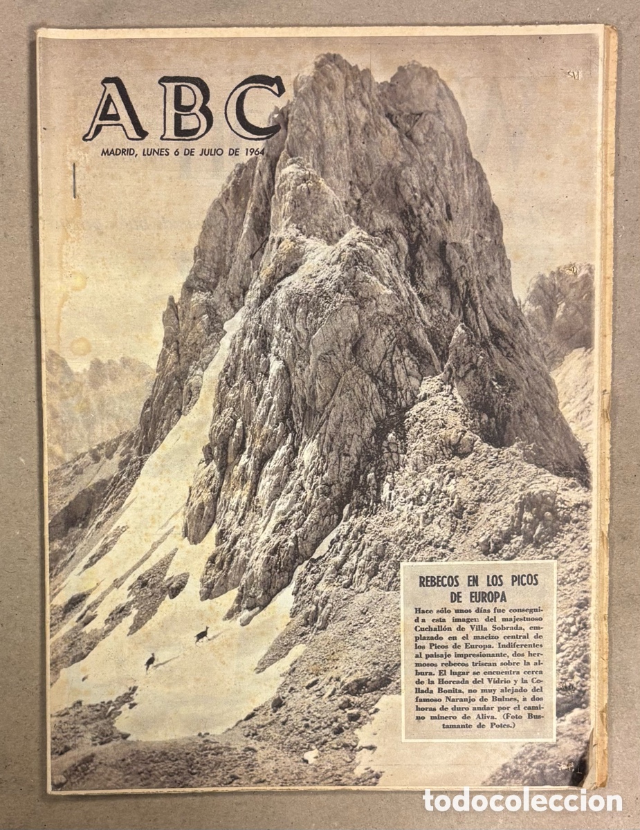 Coleccionismo de revistas y peri&oacute;dicos: ABC (6 DE JULIO DE 1964). REBECOS EN LOS PICOS DE EUROPA, CUCHALL&Oacute;N DE VILLA SOBRADA,&hellip;