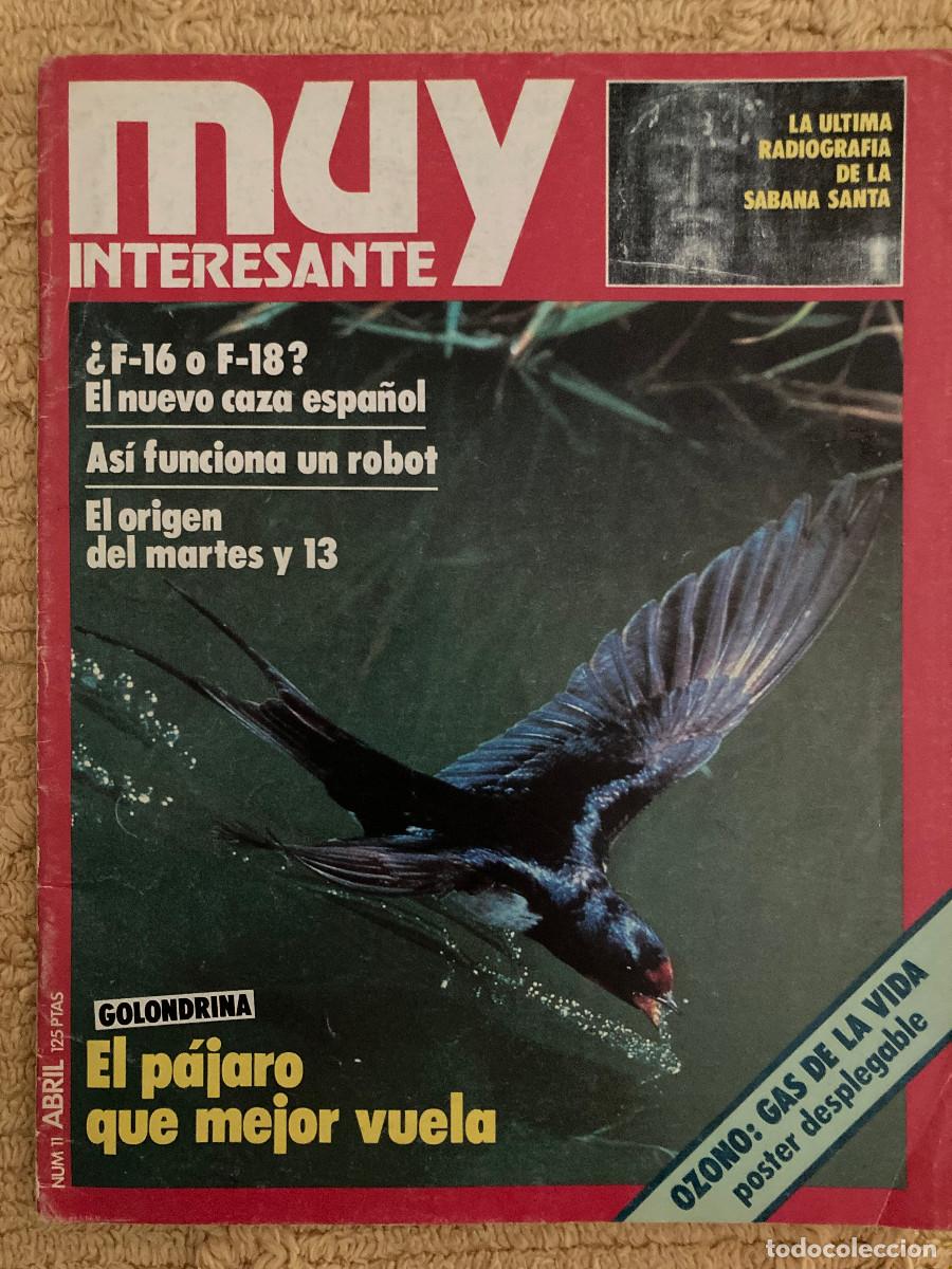 Coleccionismo de revistas y peri&oacute;dicos: Revista Muy Interesante (Abril 1982) - En muy buen estado. Las golondrinas