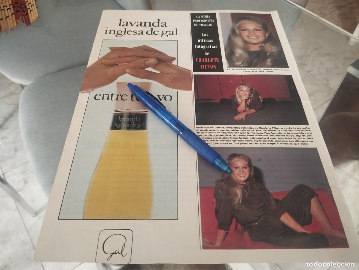 Coleccionismo de revistas y peri&oacute;dicos: CHARLENE TILTON SERIE DALLAS SUS ULTIMAS FOTOGRAFIAS RECORTE REVISTA 1981