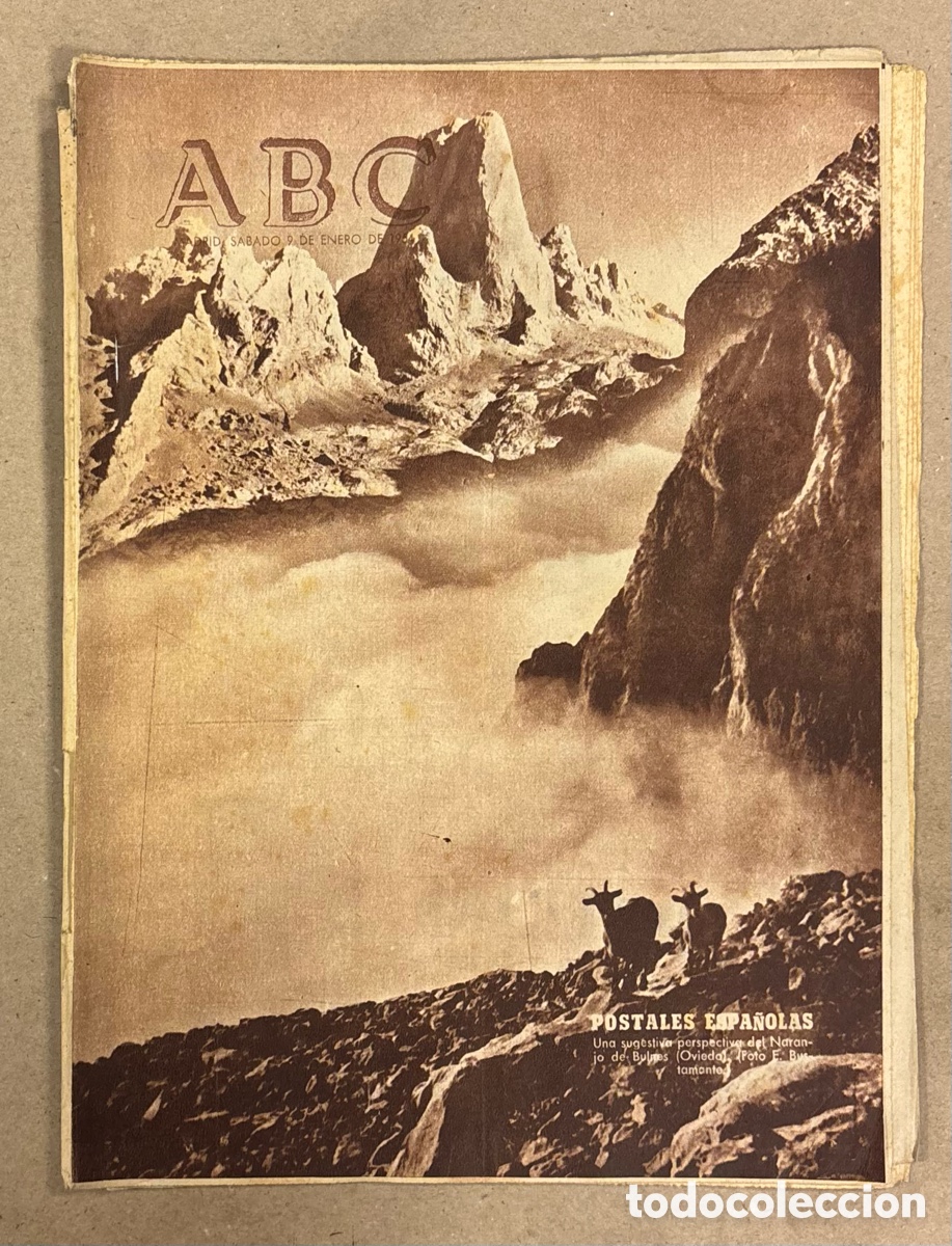 Coleccionismo de revistas y peri&oacute;dicos: ABC (9 DE ENERO DE 1954). SUGESTIVA PERSPECTIVA DEL NARANJO DEL BULNES (OVIEDO),&hellip;