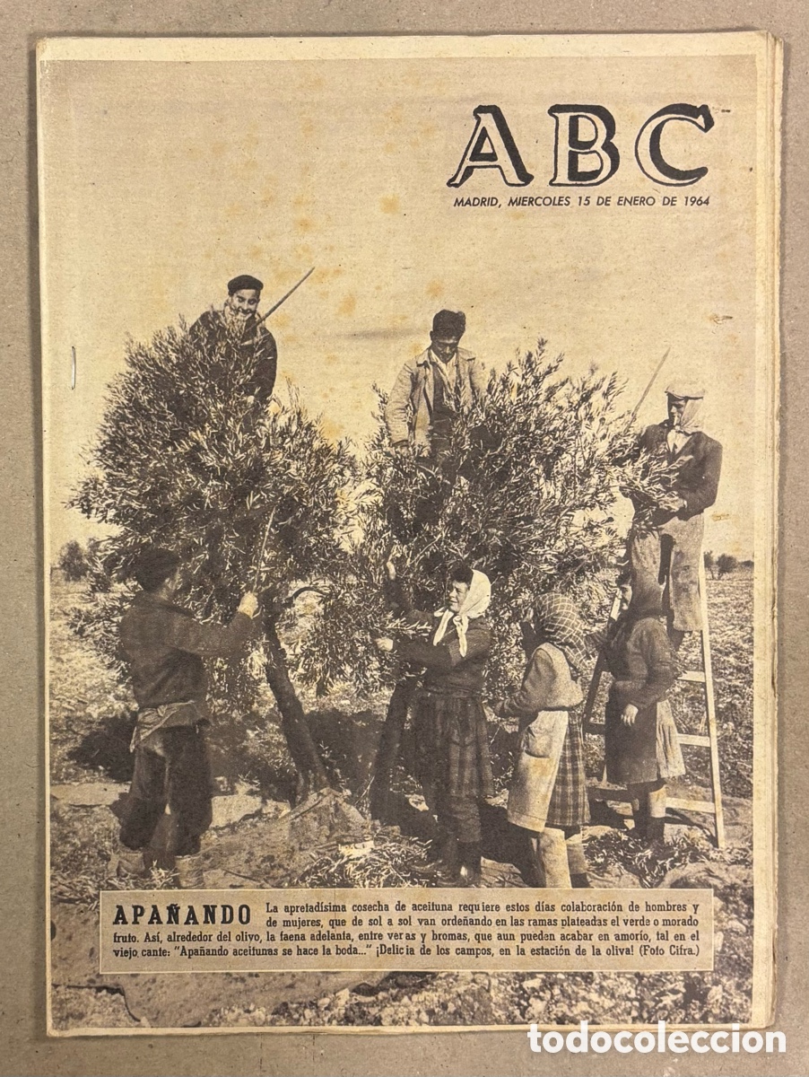 Coleccionismo de revistas y peri&oacute;dicos: ABC (15 DE ENERO DE 1964). LA COSECHA DE LA ACEITUNA,&hellip;