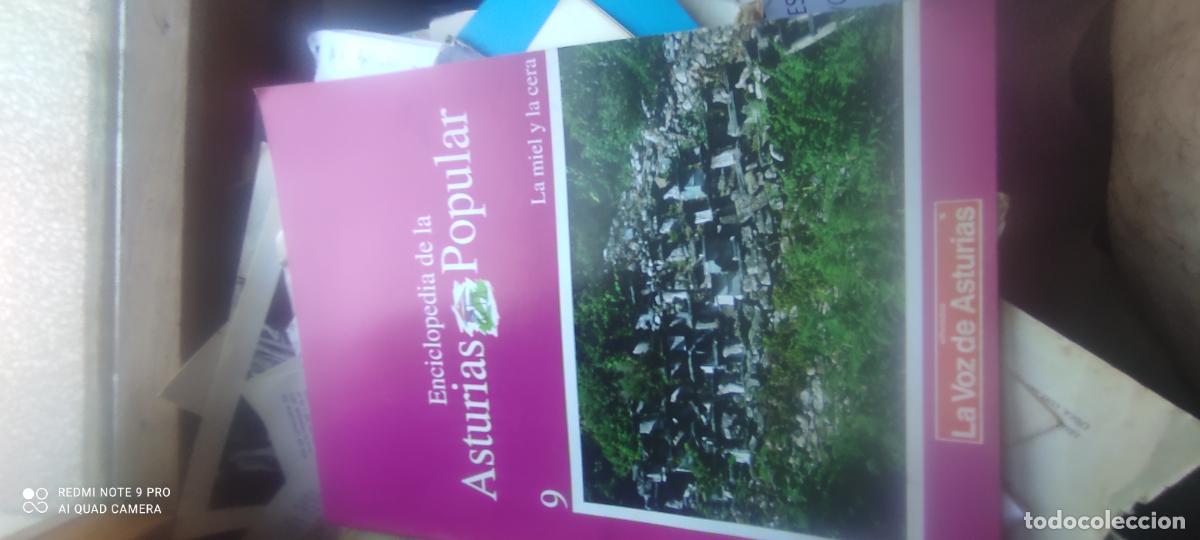 Collezionismo di Riviste e Giornali: La casa campesina. Enciclopedia Popular asturiana