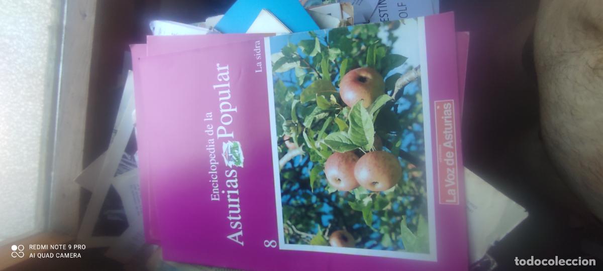 Sammeln von Zeitschriften und Zeitungen: La sidra. Enciclopedia Popular asturiana