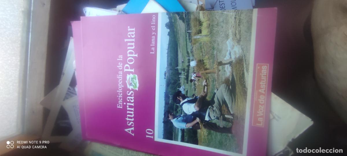 Sammeln von Zeitschriften und Zeitungen: La lana y el lino. Enciclopedia Popular asturiana