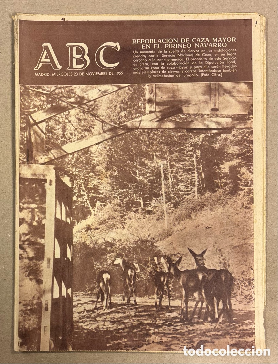 Coleccionismo de revistas y peri&oacute;dicos: ABC (23 DE NOVIEMBRE DE 1955). REPOBLACI&Oacute;N DE CAZA MAYOR EN EL PIRINEO NAVARRO,&hellip;