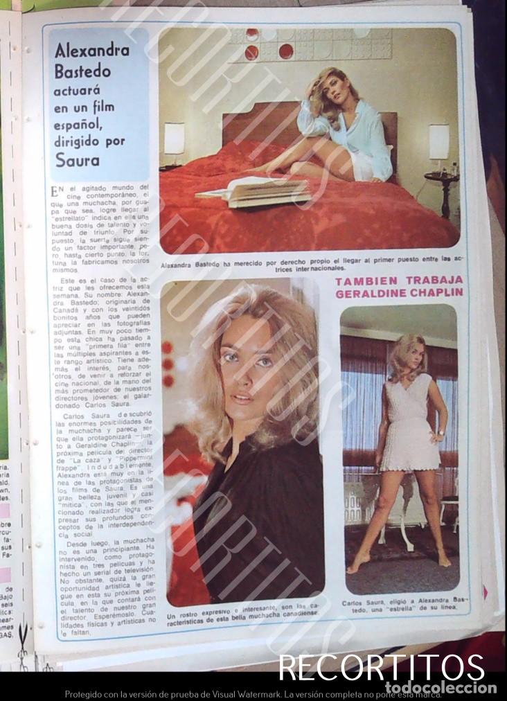 Coleccionismo de revistas y peri&oacute;dicos: alexandra basteido peta merry
