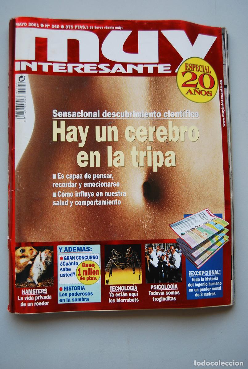 Coleccionismo de revistas y peri&oacute;dicos: MUY INTERESANTE.NUM.240-2000: CEREBRO EN LA TRIPA-HAMSTERS-BIORROBOTS-SOMOS TROGLODITAS