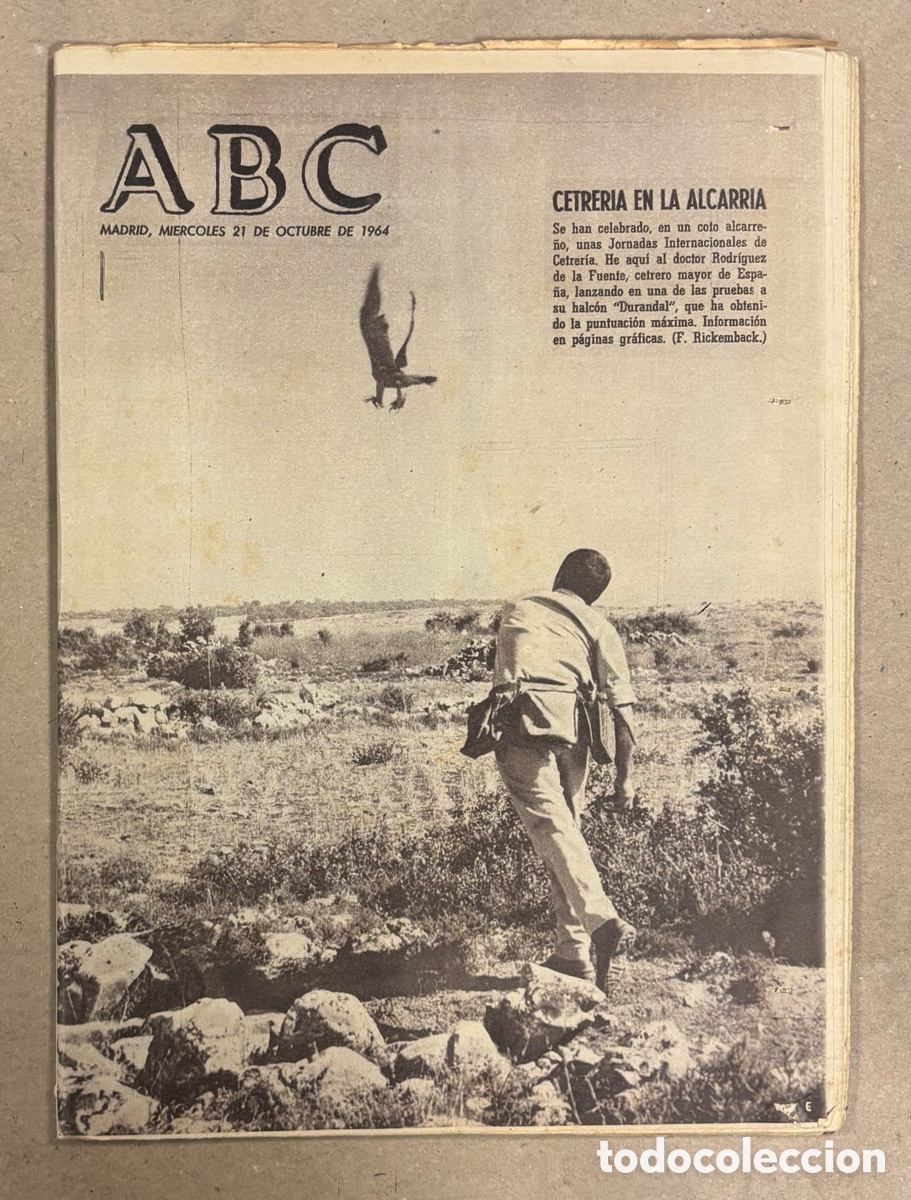 Colecionismo de Revistas e Jornais: ABC (21 OCTUBRE 1964). JORNADAS INTERNACIONALES DE CETRERIA EN LA ALCARRIA RODR&Iacute;GUEZ DE LA FUENTE
