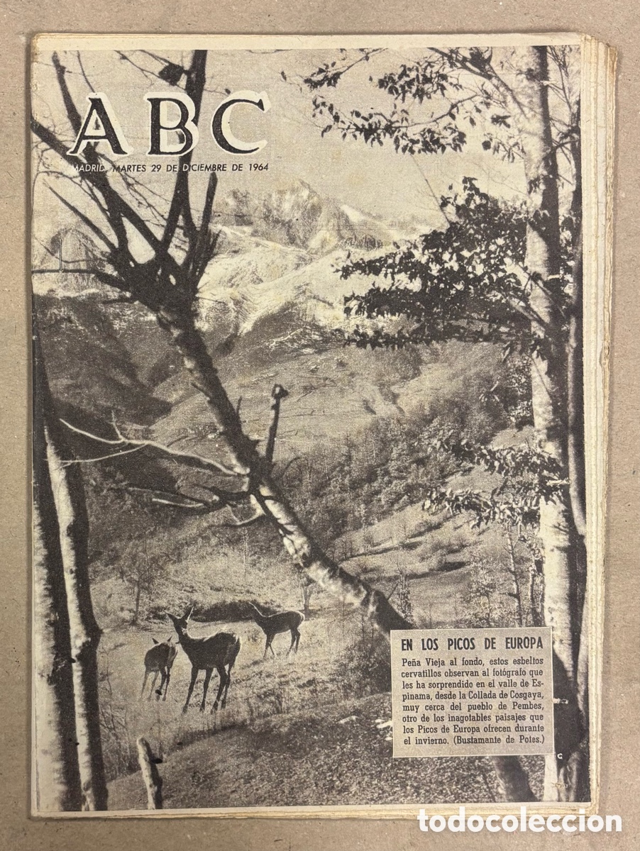 Colecionismo de Revistas e Jornais: ABC (29 DE DICIEMBRE DE 1964). VALLE DE ESPINAMA DESDE LA COLLADA DE COSGAYA PICOS DE EUROPA