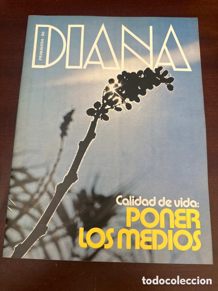 Coleccionismo de revistas y peri&oacute;dicos: ANTIGUA REVISTA DIANA PRIMAVERA 1980 - MUJER MODA FEMENINA - BANCO BILBAO