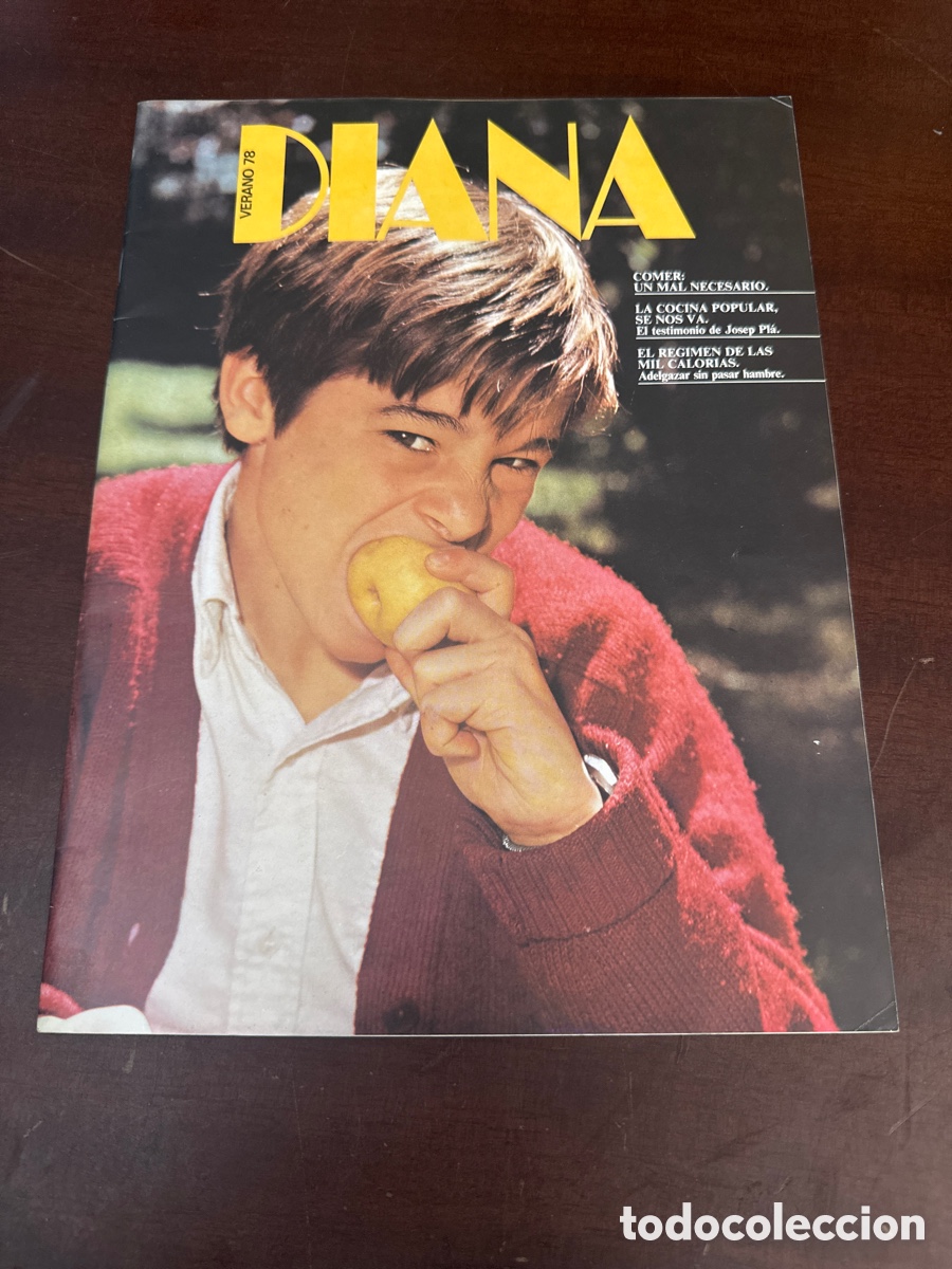 Coleccionismo de revistas y peri&oacute;dicos: ANTIGUA REVISTA DIANA VERANO 1978 - MUJER MODA FEMENINA - BANCO BILBAO