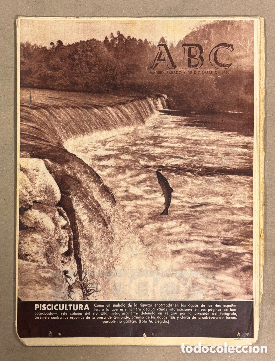Coleccionismo de revistas y peri&oacute;dicos: ABC (4 DE DICIEMBRE DE 1954). PISCICULTURA: EL SALM&Oacute;N DEL R&Iacute;O ULLA DE GALICIA,&hellip;