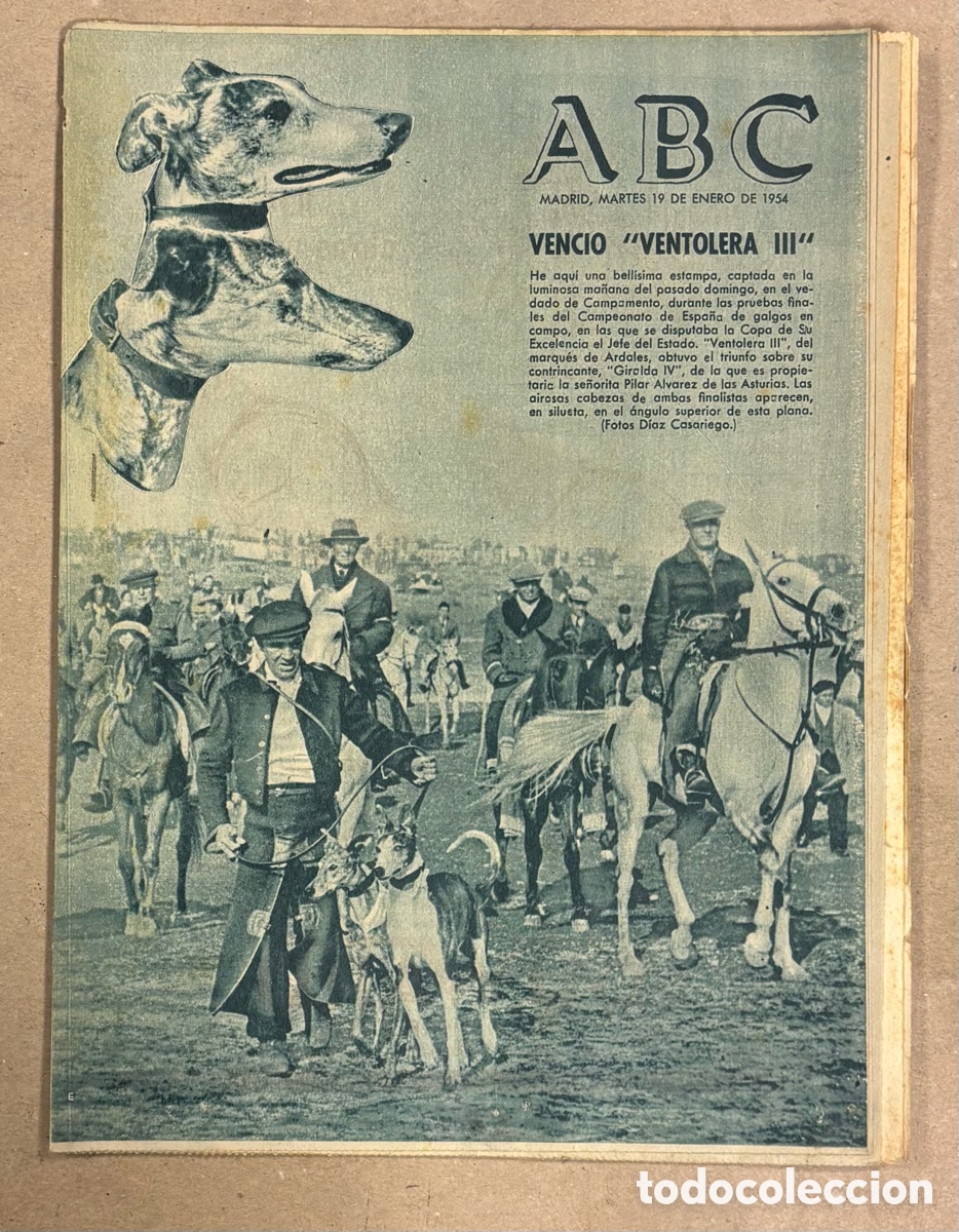Coleccionismo de revistas y peri&oacute;dicos: ABC (19 ENERO 1954). CAMPEONATO DE ESPA&Ntilde;A DE GALGOS VENCI&Oacute; VENTOLERA III DEL MARQU&Eacute;S DE ARDALES