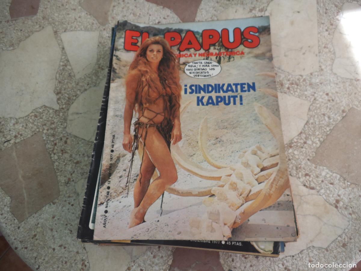 Coleccionismo de revistas y peri&oacute;dicos: el papus, n&ordm; 143, 1977, revista satirica, erotica,humor, sindikaten kaput