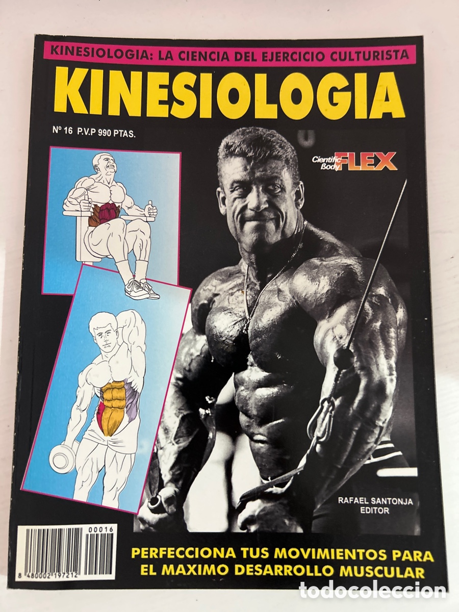 Collezionismo di Riviste e Giornali: Cient&iacute;fica Body Flex. Kinesionologia.