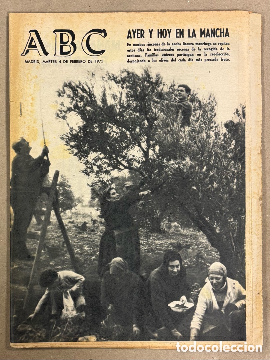 Coleccionismo de revistas y peri&oacute;dicos: ABC (4 FEBRERO 1975). RECOGIDA DE ACEITUNA EN LA MANCHA, WALDO DE LOS R&Iacute;OS, REAL MADRID - ARMINIA