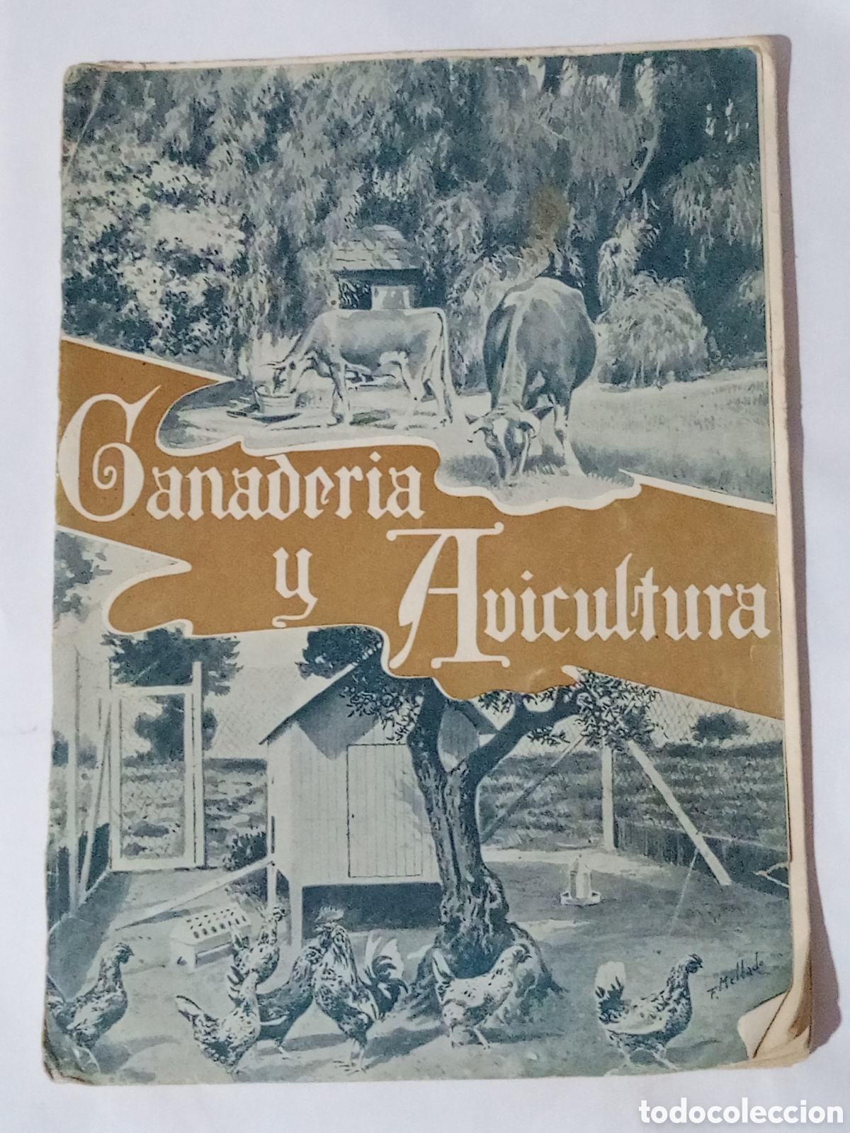Coleccionismo de revistas y peri&oacute;dicos: Ganader&iacute;a y avicultura revista