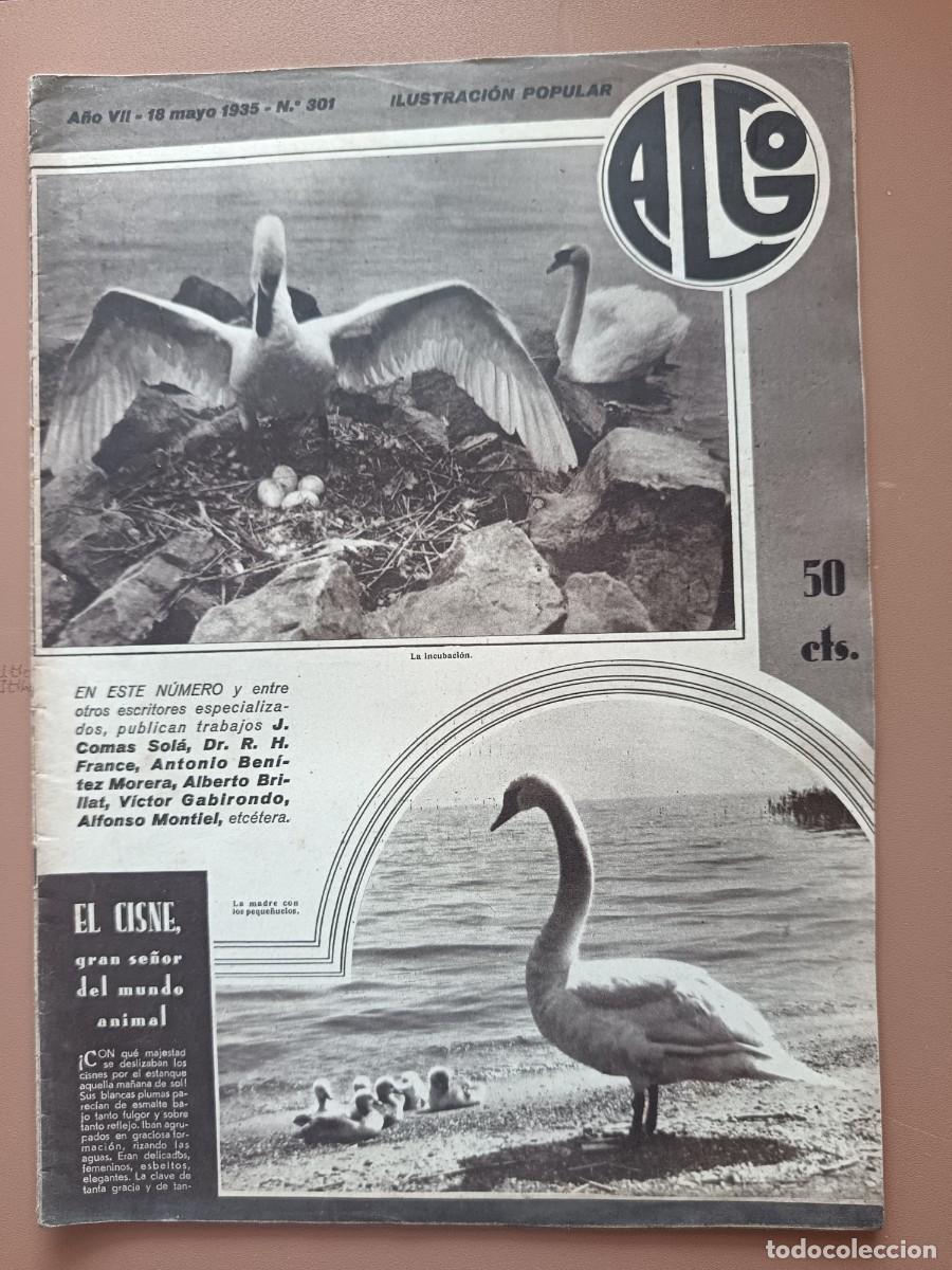 Coleccionismo de revistas y peri&oacute;dicos: ALGO - N&Uacute;MERO 301 - 1935