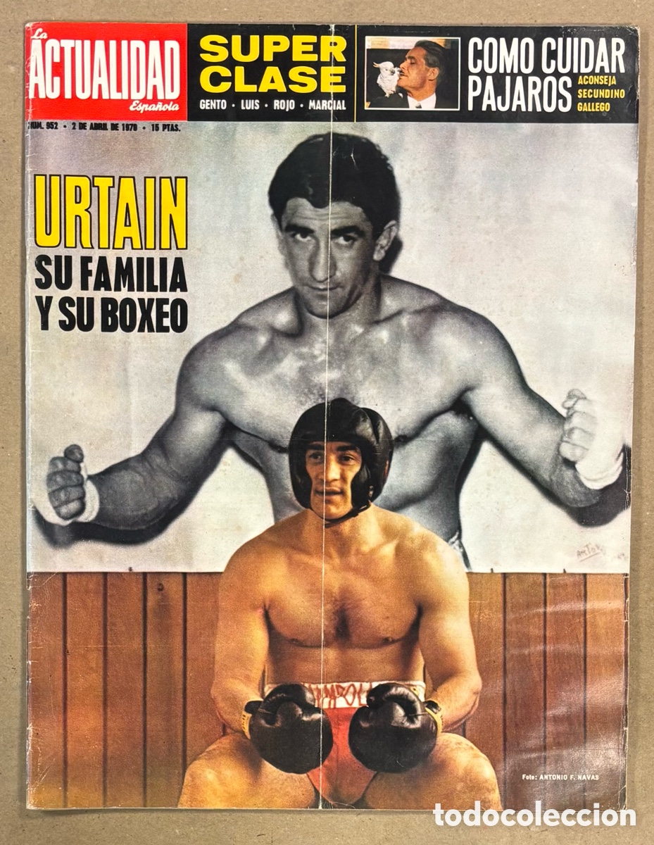 Coleccionismo de revistas y peri&oacute;dicos: LA ACTUALIDAD ESPA&Ntilde;OLA N&deg; 952 (1970). URTAIN BOXEO, POSTER: GENTO, LUIS ARAGON&Eacute;S, ROJO Y MARCIAL,..