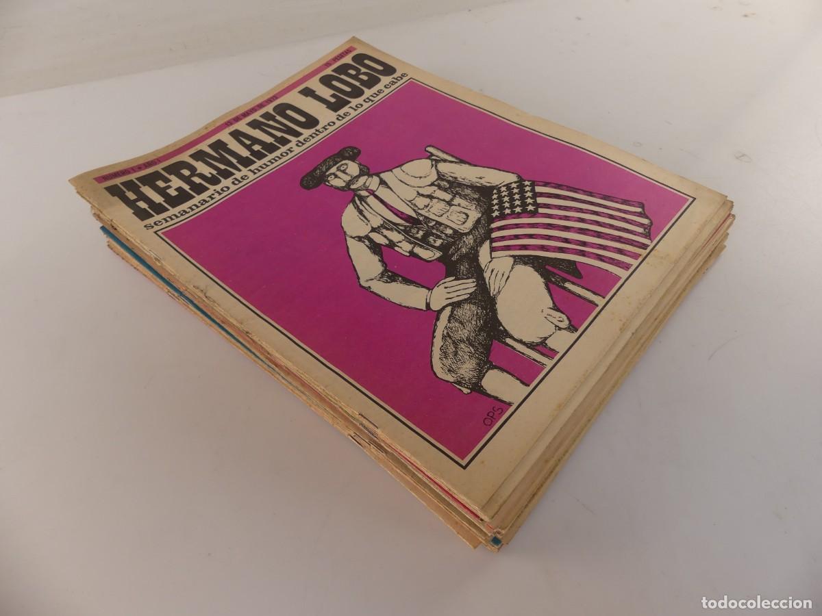 Collezionismo di Riviste e Giornali: COLECCION LOTE DE 32 NUMEROS DE LA REVISTA HERMANO LOBO