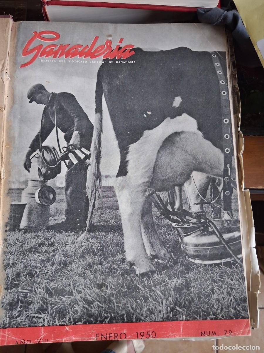 Coleccionismo de revistas y peri&oacute;dicos: Ganaderia Revista mensual editada por el Sindicato vertical de ganaderia a&ntilde;o 1950 completo