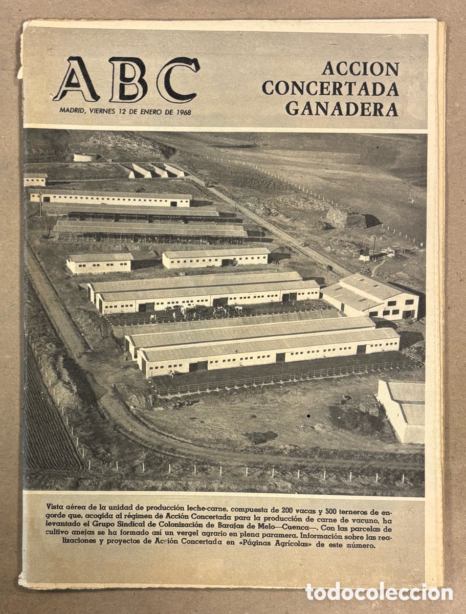 Coleccionismo de revistas y peri&oacute;dicos: ABC (12 ENERO 1968). ACCI&Oacute;N CONCERTADA GANADERA GRUPO SINDICAL COLONIZACI&Oacute;N BARAJAS DE MELO (CUENCA)